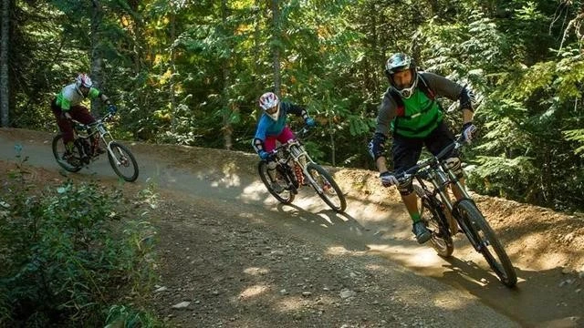 mountain bike park 10 mountain bike park 10
