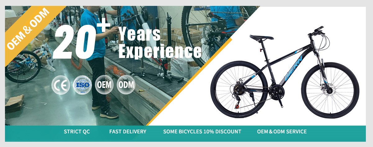 20yearsbicyclewholesalemanufactures 20yearsbicyclewholesalemanufactures