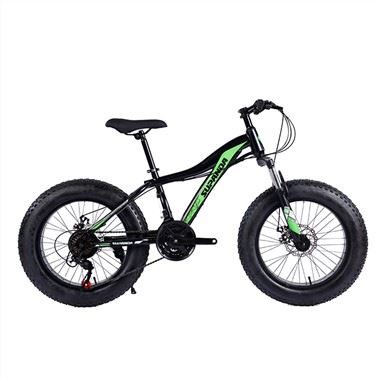 Aluminium Fat Tire Bike