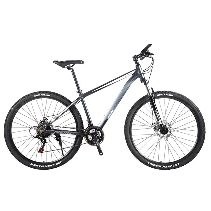 Best All Mountain Bike 2023