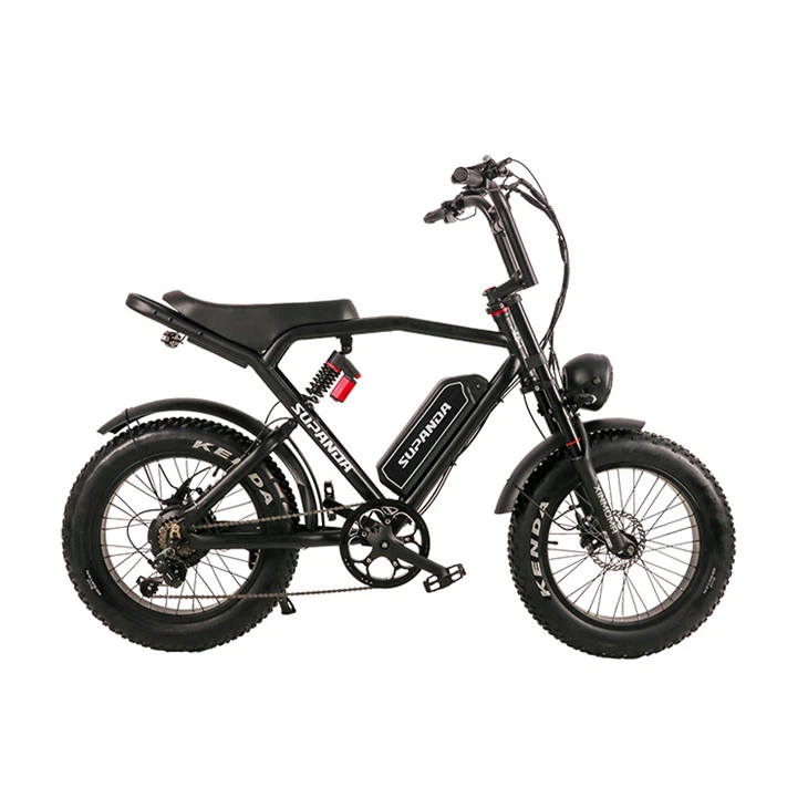 Fat Tire elektrische fiets