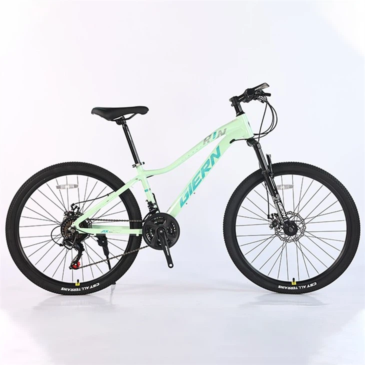 Pink Mountain Bike 26 Inch
