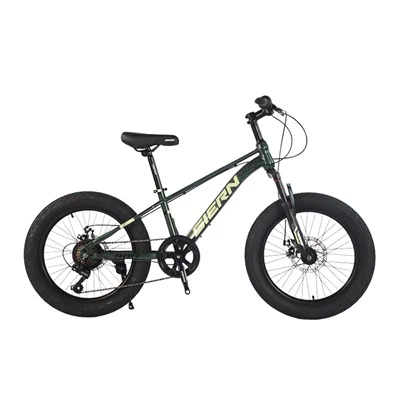 20 inch mountainbike voor jongeren