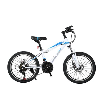 Xc MTB-hardtail