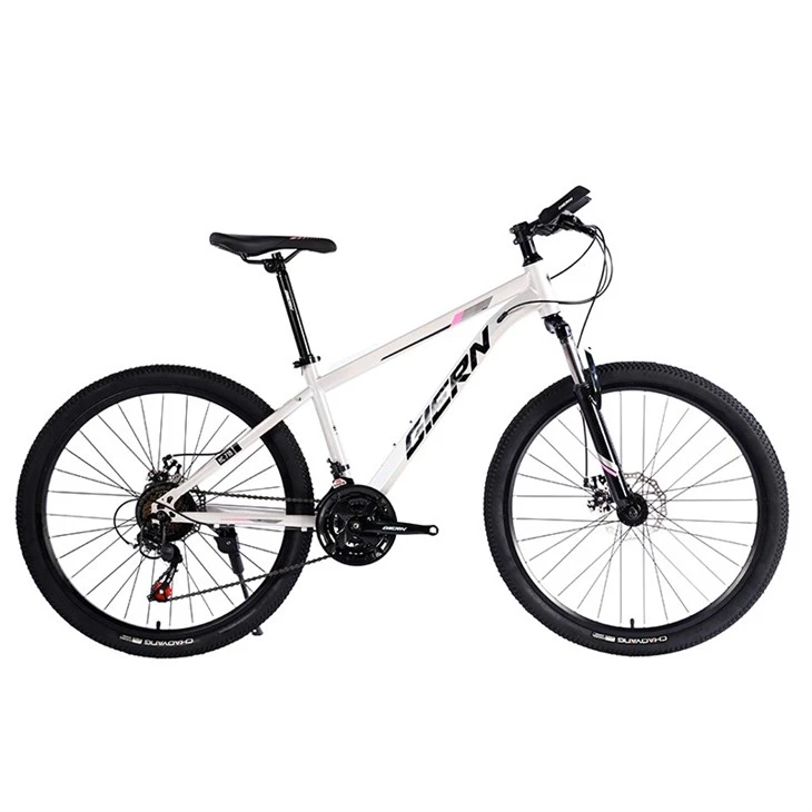 Steel Frame Hardtail Mtb
