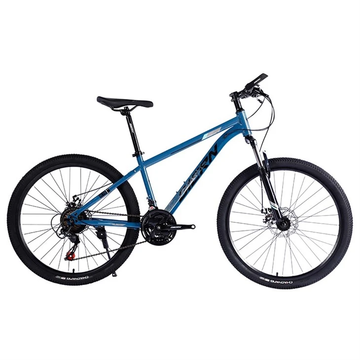 Steel Frame Hardtail Mtb