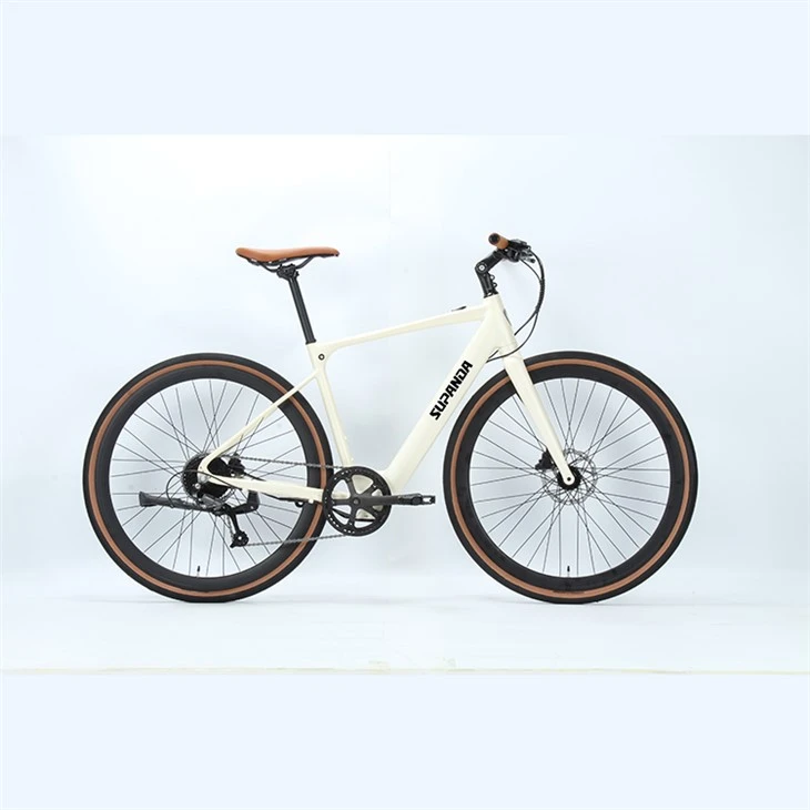 Hybride elektrische fiets met frame
