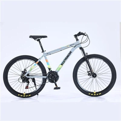 21 Inch Heren Mountainbike